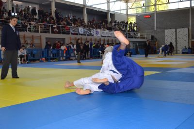 Pulsa para ver la imagen a tamaño completo